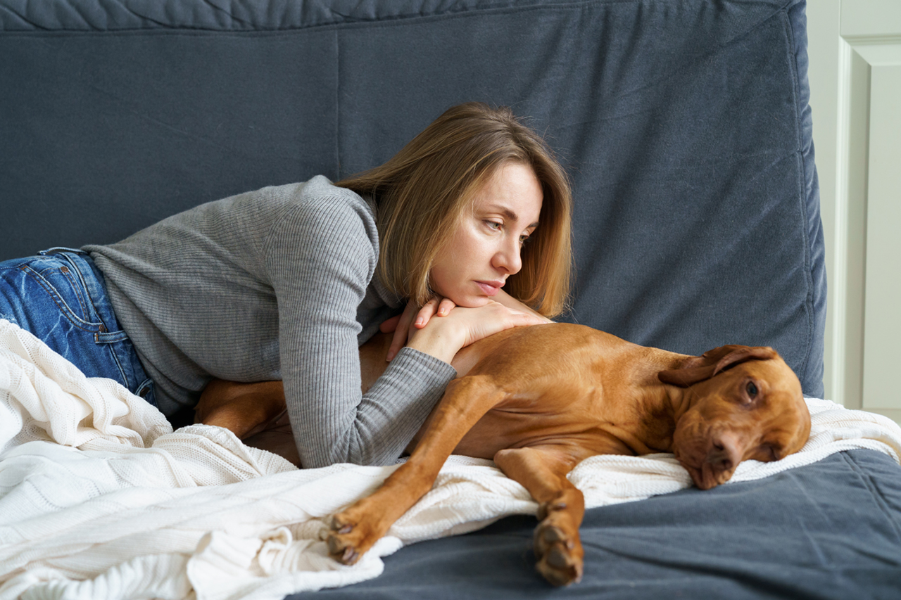 Detox per gli animali