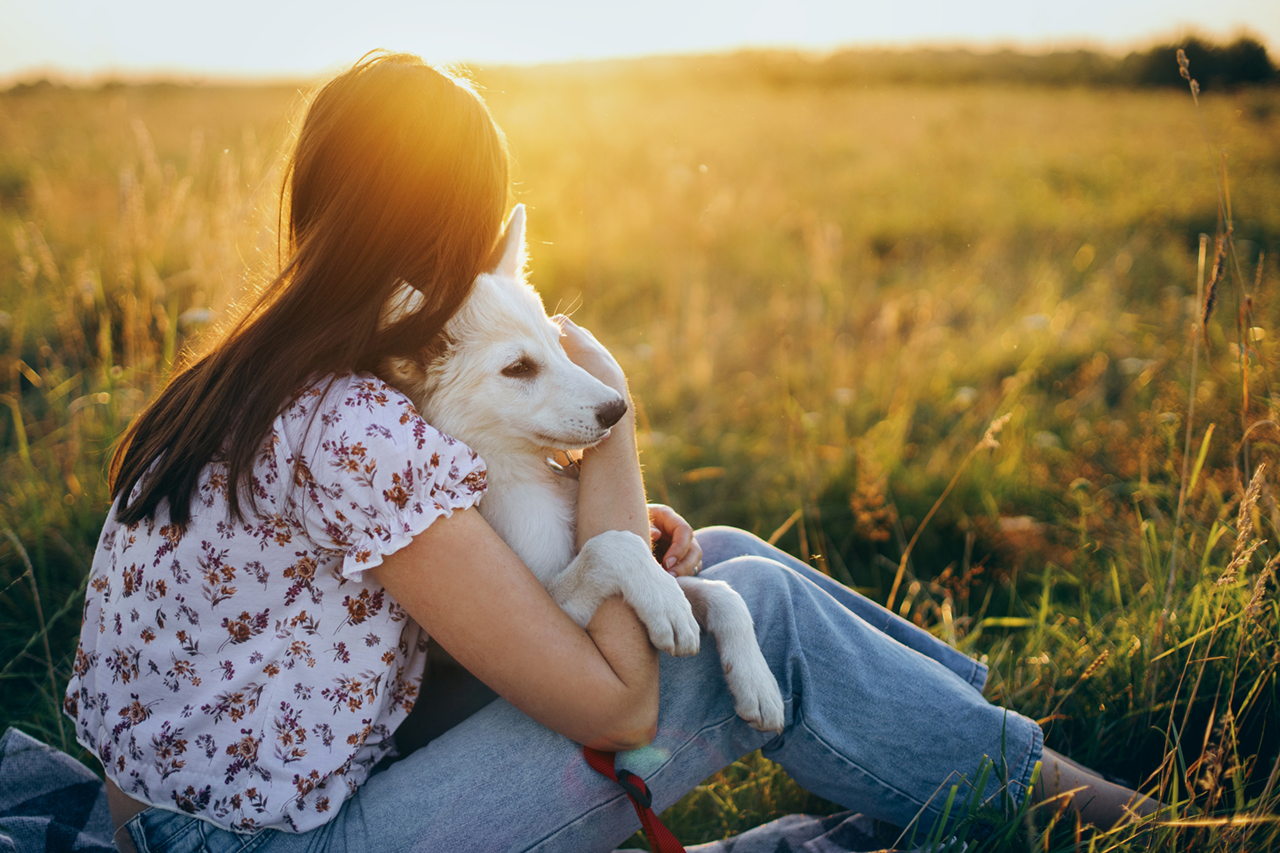 Detox per gli animali
