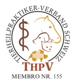 diana sferrazza thpv